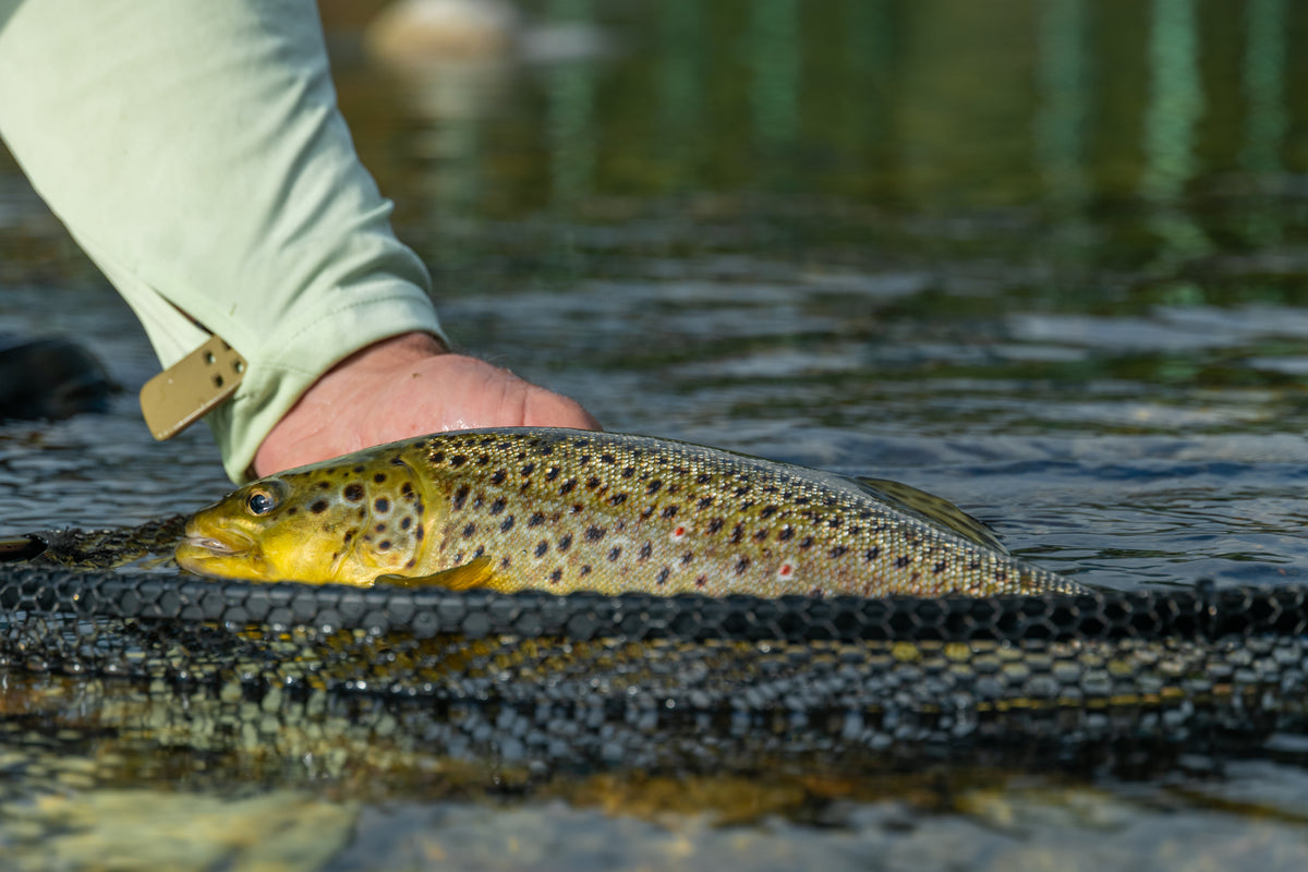 Flugfiske i Bosnien – sportfiskeresa med Outside Travels – bild 4