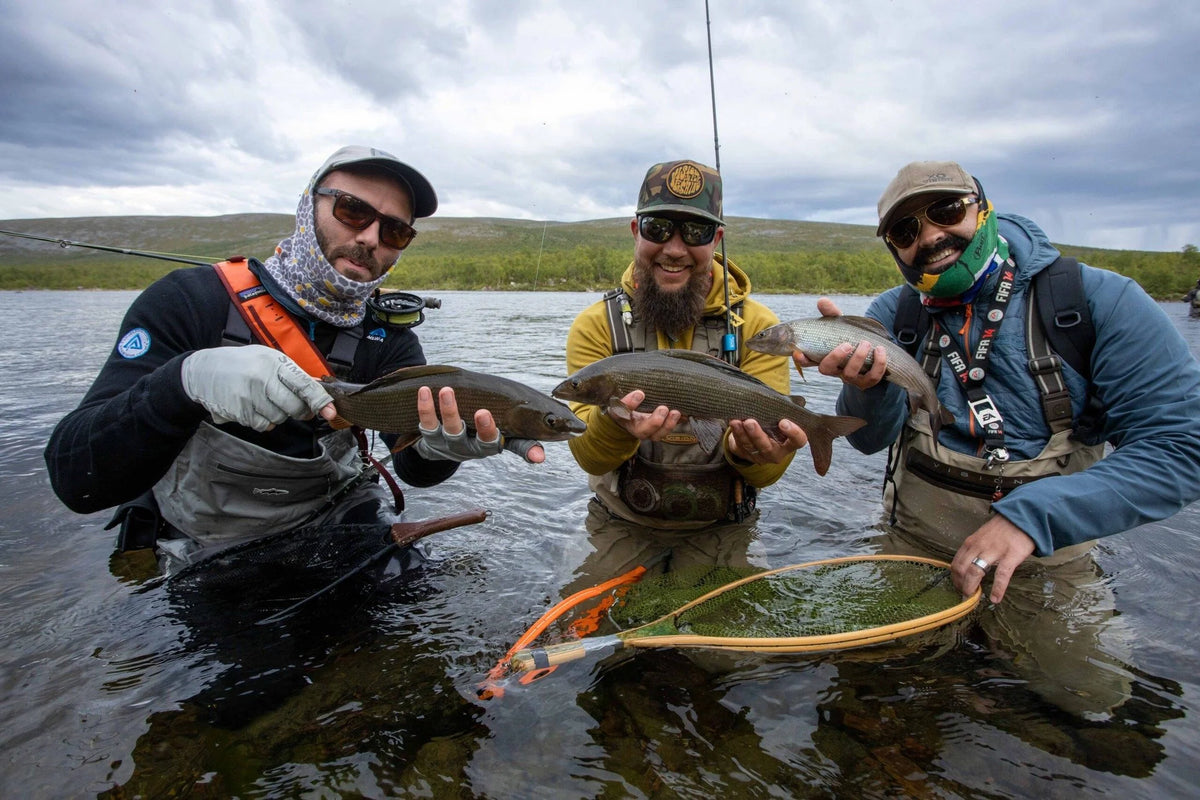 Tre sportfiskare i fiskeutrustning står knädjupt i en älv, håller varsin fisk och ler under molnig himmel och gröna kullar.