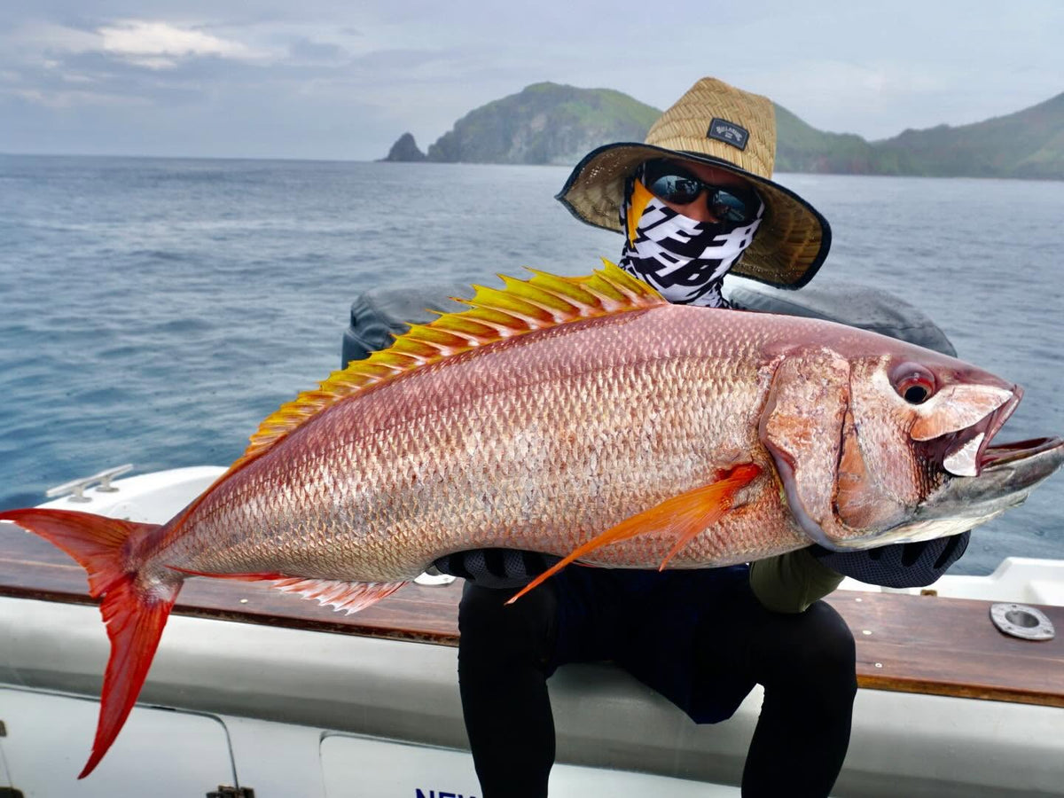 Rusty Jobfish fÄngad under en fiskeresa till Komodo i Indonesien.