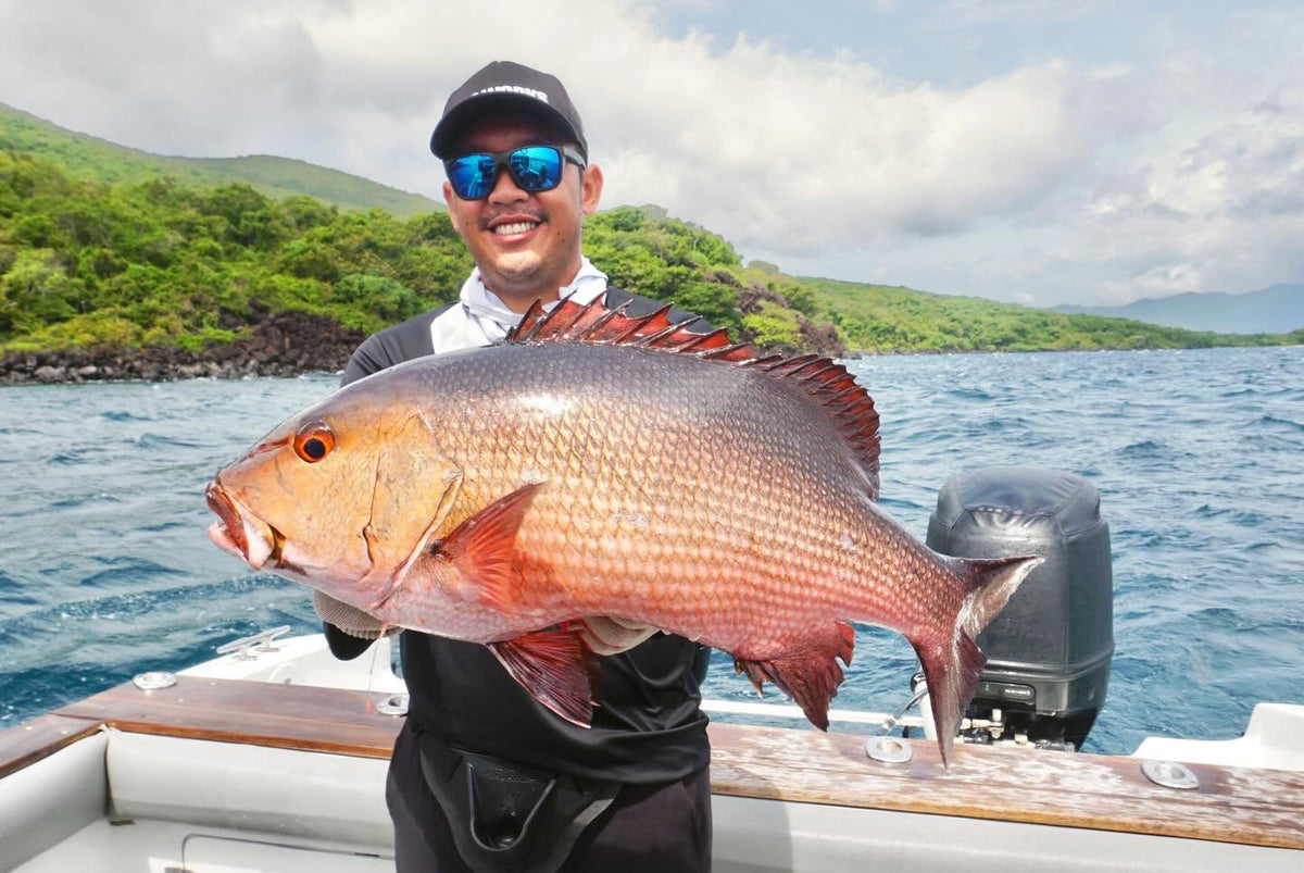 Stor Red Snapper fÄngad i Komodos artrika fiskevatten.