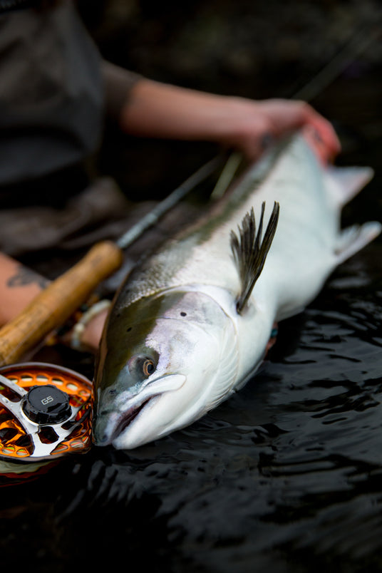 Laxfiske på Island – sportfiskeresa med Outside Travels – bild 8