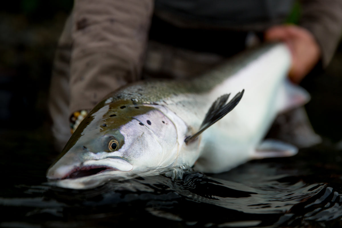 Outside Travels fiskeresa till Island – laxfiske och fiskeupplevelser – bild 8