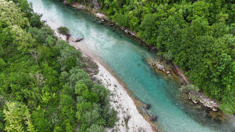 Flygfoto över slingrande turkos älv, idealisk för sportfiske, omgiven av täta gröna träd och smal stenstrand i dagsljus.