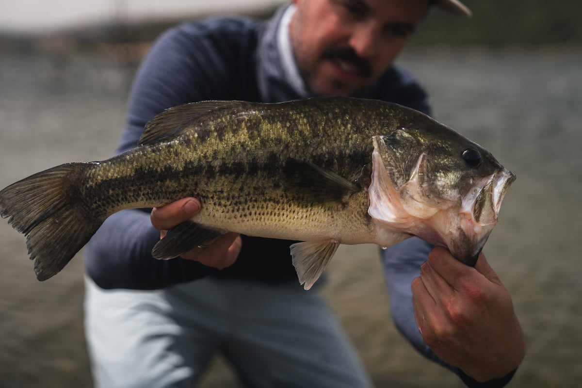 En sportfiskare håller stolt upp en nyfångad storabborre, munnen öppen och vatten droppar från dess fjäll.