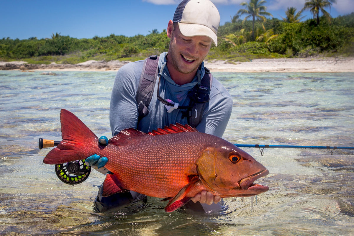 Bohar snapper fångad på fluga vid revkanten i Franska Polynesien