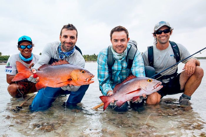 Bohar snapper fångad på fluga vid revkanten i Franska Polynesien


