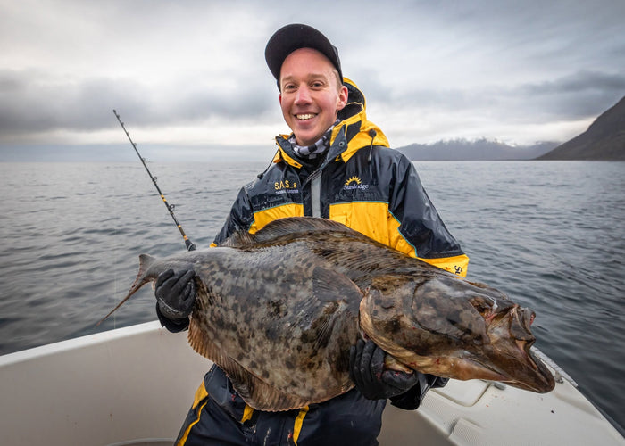 Glad sportfiskare med hälleflundra under havsfiske i Lofoten