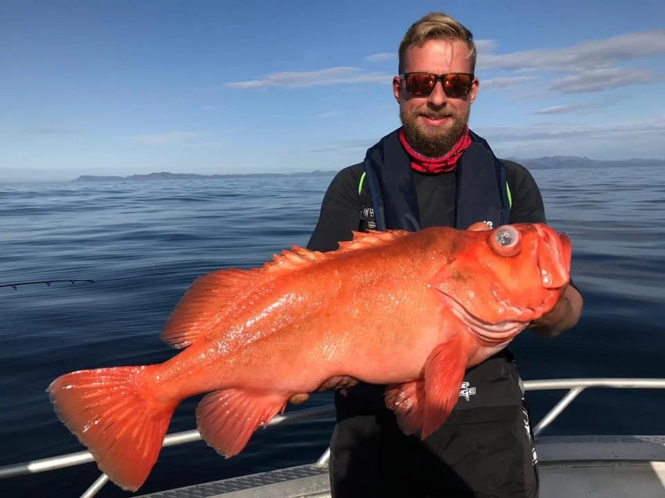 En sportfiskare med solglasögon och flytväst håller en stor orange fisk på båt. Lugnt hav och kustlinje under molnig himmel.