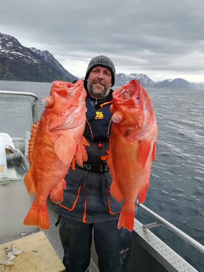 Sportfiskare på båt visar två stora orange fiskar, med fjäll och molnig himmel i bakgrunden under sin fiskeresa.