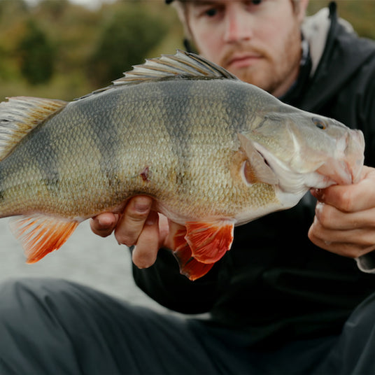 Sportfiskare visar upp en stor fisk med gröna fjäll och röda fenor vid ett vattendrag omgiven av skog.