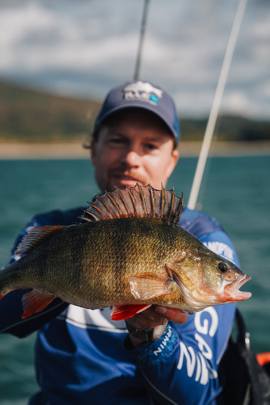 En sportfiskare i blå skjorta och keps håller en stor fisk med taggiga ryggfenor, med vatten och kullar i bakgrunden.