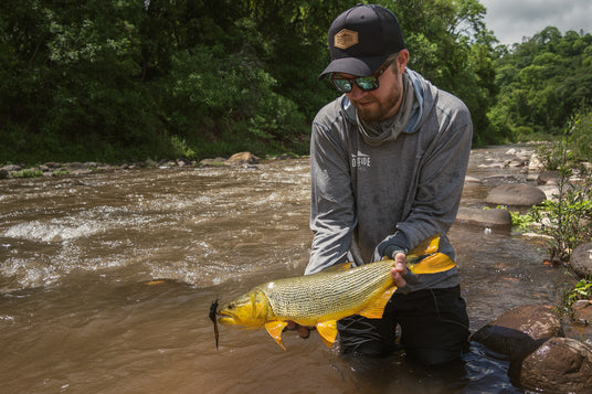 Rio dorado
