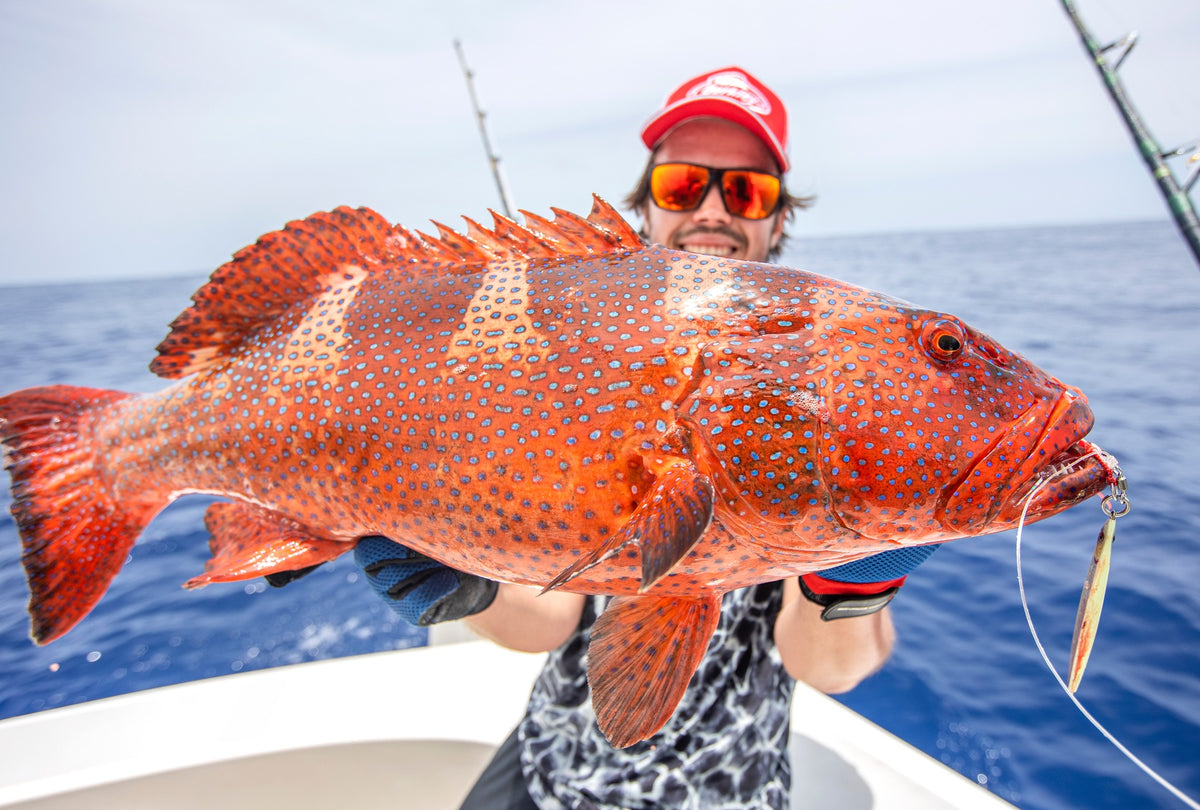 Stor coral trout fångad på fiskeresa med Outside Travels vid Rodrigues Ilands
