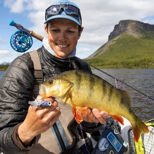 En leende sportfiskare i fiskeutrustning visar stolt upp en stor abborre vid en sjö med berg och blå himmel i bakgrunden.
