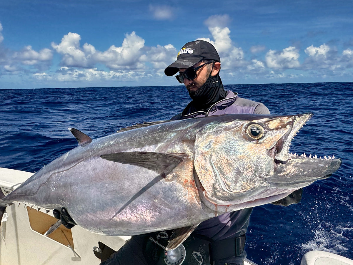 Dogtooth tuna fångad på fiskeresa med Outside Travels vid Rodrigues
