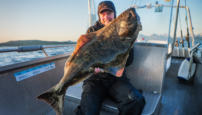 En sportfiskare på båt visar stolt upp en stor hälleflundra med hav och avlägsen kustlinje i bakgrunden under fiskeresan.