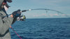 Drill av stor fisk vid popping och jigging